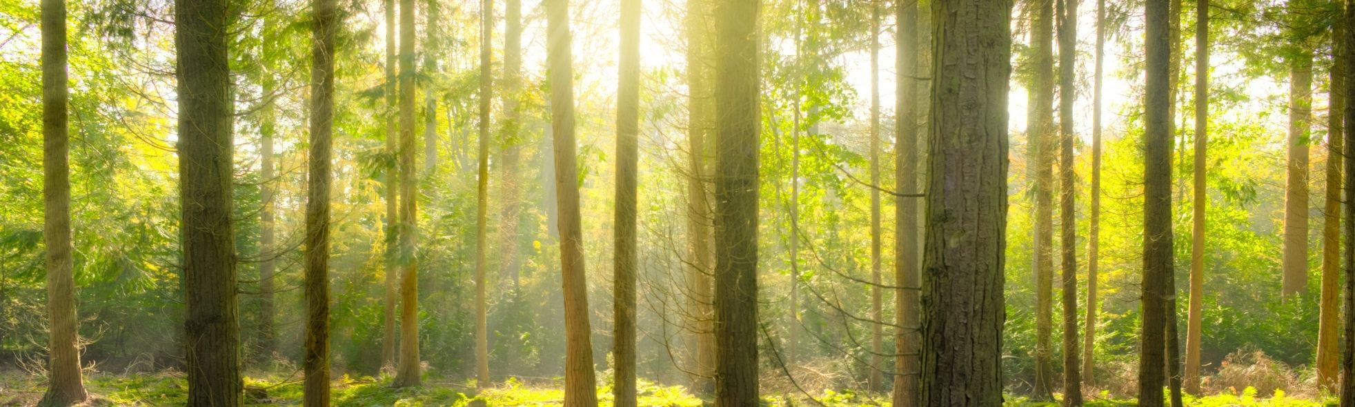 Projekt bez nazwy(133)